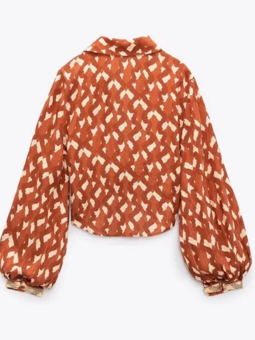 Zara Rust Patterned Button-Front Crop Top - Picture 10 of 15